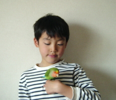 toppitoppi.jpg