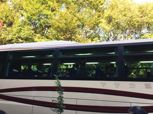 bus.jpg