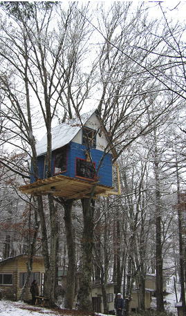 treehouse2.jpg